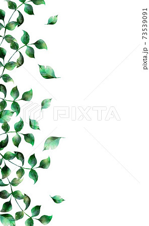 水彩の葉っぱのフレーム 縦位置のイラスト素材