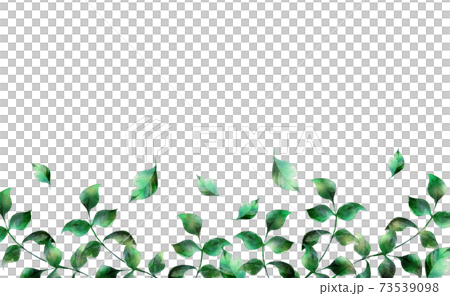 水彩の葉っぱのイラスト 73539098