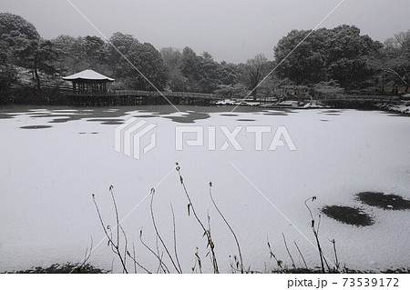 奈良公園の雪景色 奈良公園の雪景色 73539172