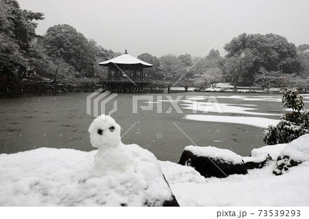 奈良公園の雪景色 奈良公園の雪景色 73539293