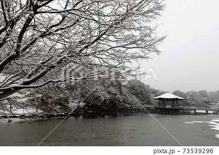 奈良公園の雪景色 奈良公園の雪景色 73539296