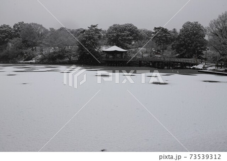 奈良公園の雪景色 奈良公園の雪景色 73539312