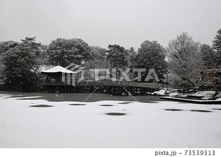奈良公園の雪景色 奈良公園の雪景色 73539313