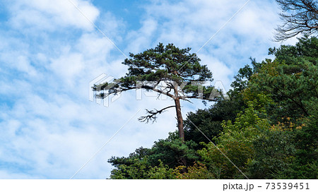 秋の風景・紅葉・山の景色 73539451