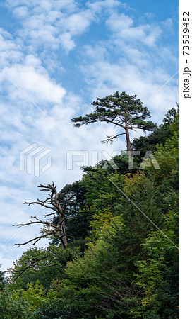 秋の風景・紅葉・山の景色 73539452