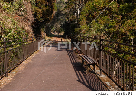 高千穂レール廃線跡に設置された森林セラピーの遊歩道 73539591