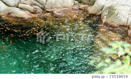 山の景色・滝・清流・秋 73539659