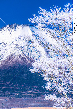 《山梨県》富士山と霧氷・日本の冬景色 《山梨県》富士山と霧氷・日本の冬景色 73539687