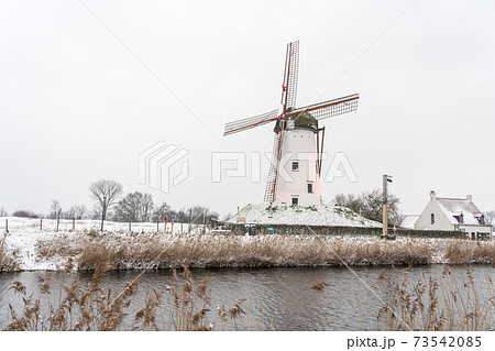 The windmil of Damme in the winter The windmil of Damme in the winter 73542085