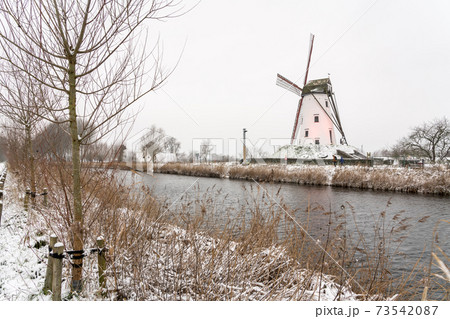 The windmil of Damme in the winter The windmil of Damme in the winter 73542087