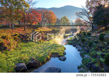 矢瀬親水公園 矢瀬遺跡 早朝の風景 秋の景色 矢瀬親水公園 矢瀬遺跡 早朝の風景 秋の景色 73542663