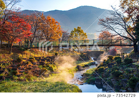矢瀬親水公園　矢瀬遺跡　　早朝の風景　秋の景色　　　 73542729