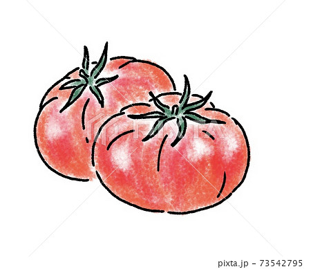 トマトの手描きイラストのイラスト素材 [73542795] - PIXTA