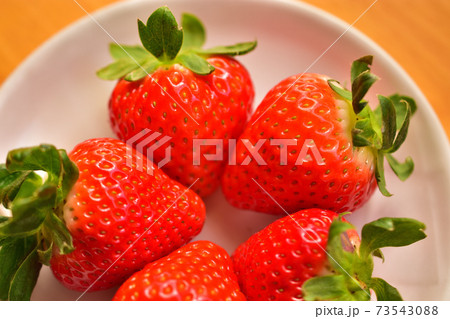 真っ赤で美味しそうなイチゴ・恋みのりイメージ 73543088