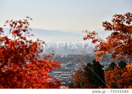 朝靄の長野市街地 73543584