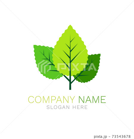 green leaf logo vector  Leaf logo, Vector logo, Organic logo design
