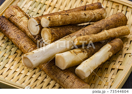 美味しい牛蒡 73544604