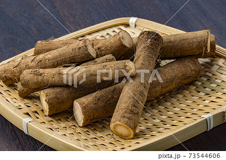 美味しい牛蒡 美味しい牛蒡 73544606