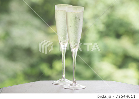 新緑の中、シャンパンで乾杯 73544611