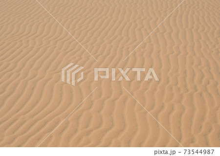 Yellow sand in the desert, Vietnam Yellow sand in the desert, Vietnam 73544987