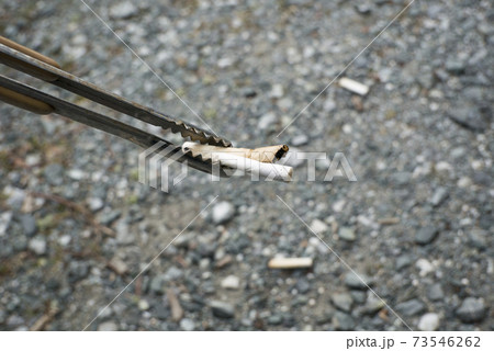 ポイ捨てされたタバコの吸殻を拾う 73546262