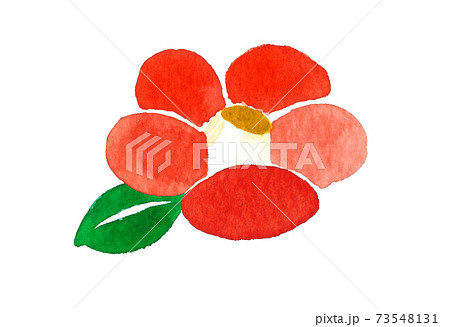 椿の水彩イラスト シンプルのイラスト素材