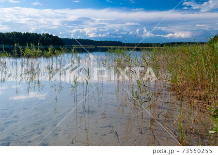 .Beautiful summer lake view .Beautiful summer lake view 73550255