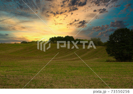 .Summer sunrise over the meadows 73550256