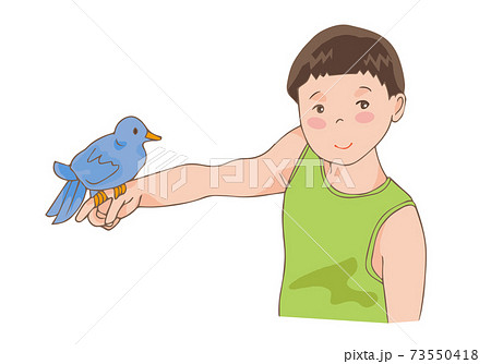 手に鳥を乗せる男の子のイラスト素材 [73550418] - PIXTA