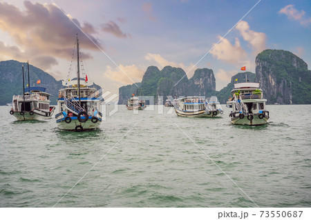 Cruise ships and islands in Halong Bay, Vietnam 73550687