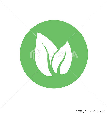 Green leaf, Eco icon. Vector illustration, flat design. 73550727