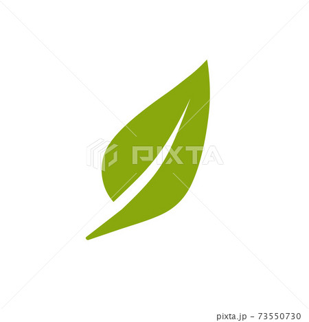 Green leaf, Eco icon. Vector illustration, flat design. 73550730