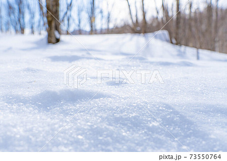 【雪素材】乗鞍高原の雪原【長野県】 73550764