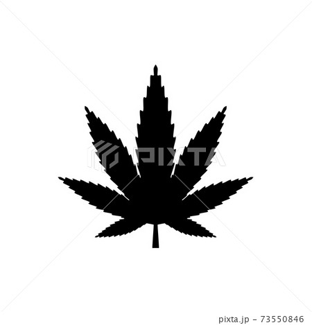 Cannabis Marijuana Leaf Icon Vector のイラスト素材
