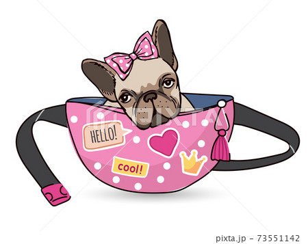 Dog In Waist Bag Funny Domestic Cute Animal のイラスト素材