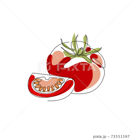 Continuous One Line Drawing Tomato Vector のイラスト素材