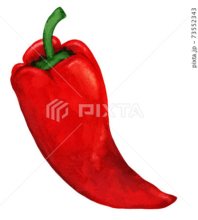 Sweet red capi pepper isolated on white background Sweet red capi pepper isolated on white background 73552343