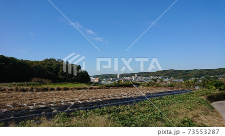 畑 と青空 73553287