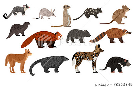 African animals set 73553349