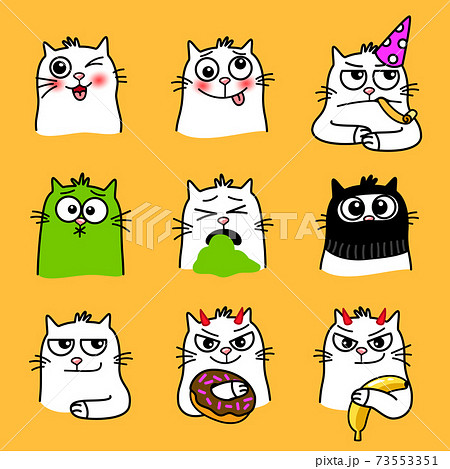 Cats expressions collection Cats expressions collection 73553351