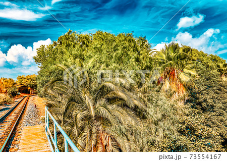 Beautiful landscape of humid tropical jungle. Beautiful landscape of humid tropical jungle. 73554167