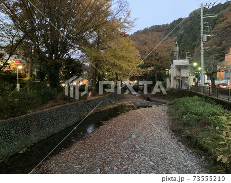 高尾山　川　紅葉 73555210