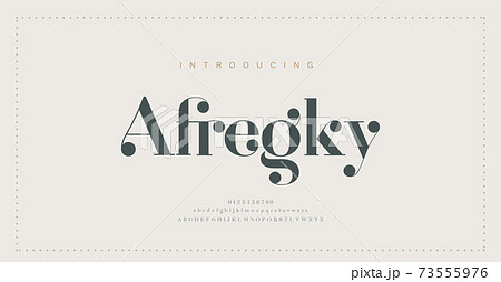 Elegant alphabet letters font and number. Classic Lettering Minimal Fashion Designs. Typography modern serif fonts regular decorative vintage concept. vector illustration Elegant alphabet letters font and number. Classic Lettering Minimal Fashion Designs. Typography modern serif fonts regular decorative vintage concept. vector illustration 73555976