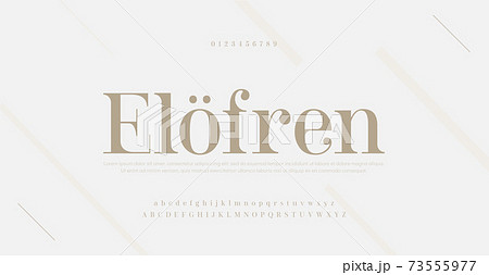 Elegant modern alphabet letters font and number. Classic Lettering Minimal Fashion Designs. Typography serif fonts regular decorative vintage concept. vector illustration Elegant modern alphabet letters font and number. Classic Lettering Minimal Fashion Designs. Typography serif fonts regular decorative vintage concept. vector illustration 73555977