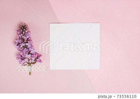Blank paper mock-up with little lilac flowers Blank paper mock-up with little lilac flowers 73556110