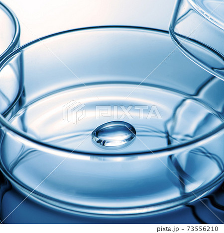 ガラス グラス ガラス製 73556210