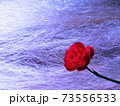 A red rose on silk thread background 73556533