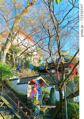 【和歌山県】晴天下の紀三井寺（仏殿） 73556547