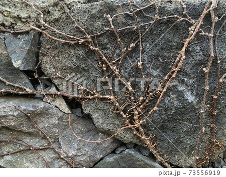 背景 石 壁 73556919