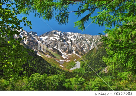 上高地　新緑の季節 73557002